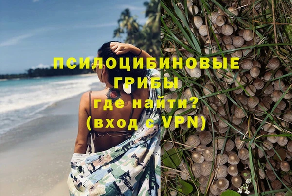 хмурый Богородицк